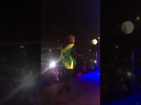 BOOM Sound Black Blunt vs Hemp Zion March 2018