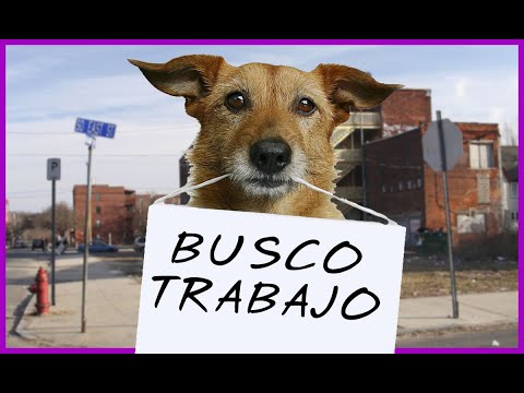 😞🐶Y llegó la ruina de los perros y los adiestradores😭