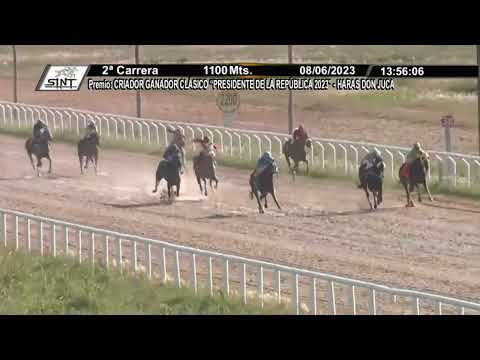 MELO SINT 230608 c02 - 1° ALGA KODIAK