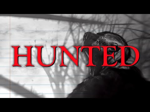 Hunted