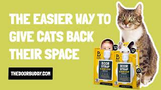 No More Baby Gate! Cat Proofing in Seconds | The Door Buddy