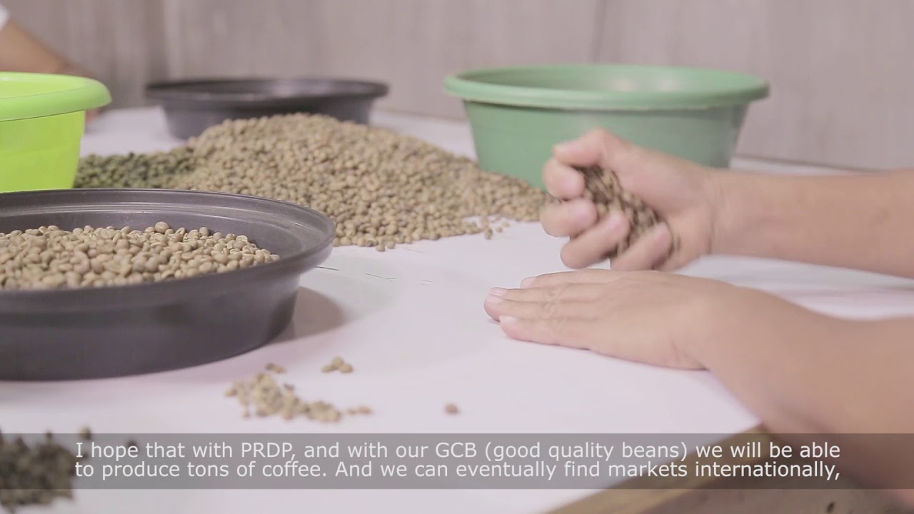 Brewing South Cotabato's Coffee Industry for Progress