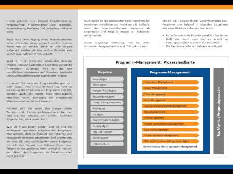B&IT-Broschüre: Programm-Management