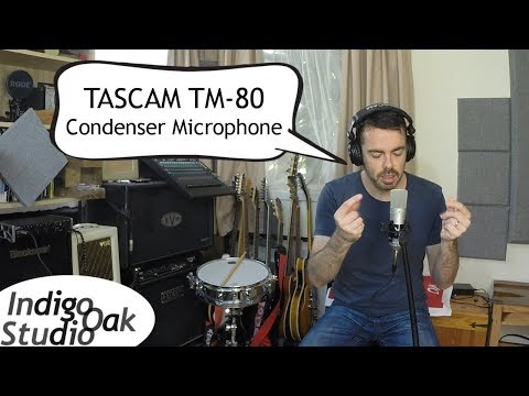 Indigo Oak Studio - TASCAM TM-80 Condenser Microphone review & demonstration