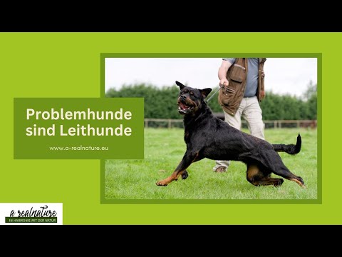 Problemhunde sind Leithunde