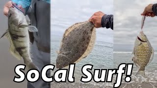Multi Species Surf Session! [SoCal Surf Fishing]