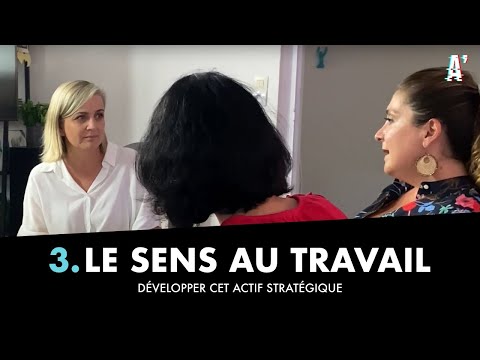 LE SENS AU TRAVAIL partie 3. Développer cet actif stratégique et ...