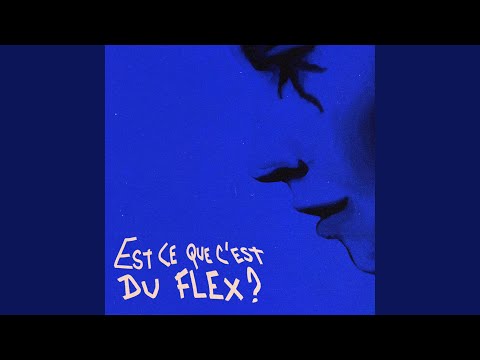 Video thumbnail for EST-CE QUE C’EST DU FLEX ?