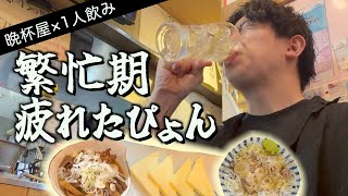 【1000円晩酌】繁忙期で疲れ切ったコールセンター勤務、仕事終わりに一人飲み【晩杯屋】