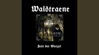 Musik-Video-Miniaturansicht zu Balmung Songtext von Waldtraene