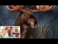 Moose In The Mist