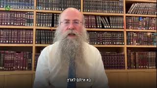 ממתק לשבת פרשת מטות מסעי תשפ״ג (הרב נחמיה וילהלם) - התמונה מוצגת ישירות מתוך אתר האינטרנט יוטיוב. זכויות היוצרים בתמונה שייכות ליוצרה. קישור קרדיט למקור התוכן נמצא בתוך דף הסרטון