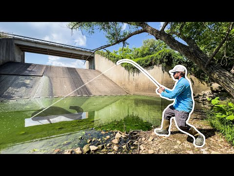 The NEW PB I've Been After My ENTIRE LIFE!?!! (MASSIVE Fish!)