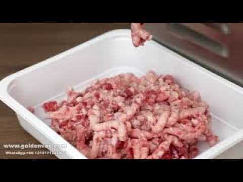 Goldenvac Tk-22 Commercial Use Meat Grinder Electric Meat Chopper  Stainless Steel Meat Mincer