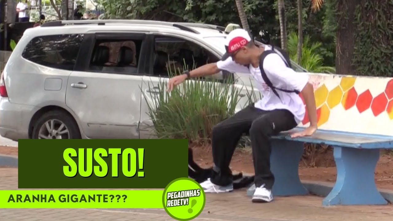 PEGADINHA DA FALSA ARANHA GIGANTE CAUSA SUSTO NA GALERA!