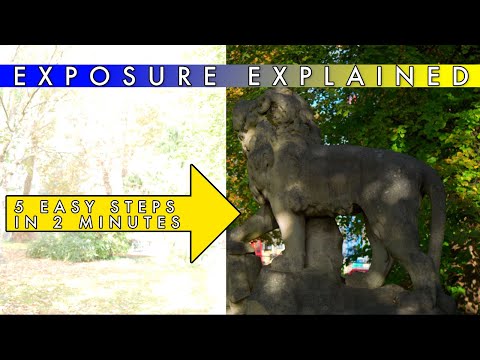 Exposure Explained Simply in 5 Steps (Exposure Triangle & More) 2 Min Tips