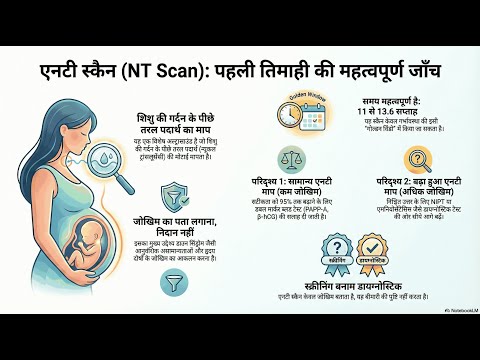 The NT Scan — video thumbnail