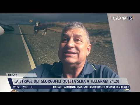 2022-05-26 TG REGIONALE ORE 19.00