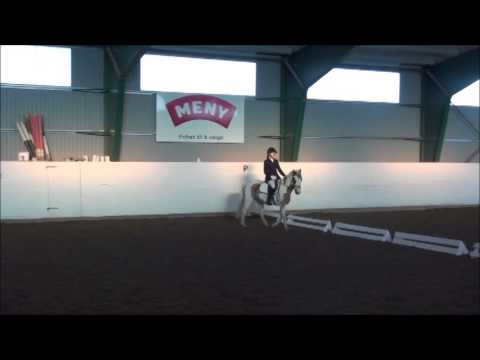 Lille Lyn salgsvideo - fantastisk kat 2 ponni til salgs