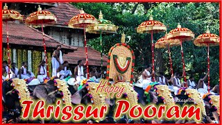Thrissur Pooram Whatsapp Status |Thrissur Pooram 2022|Thrissur Pooram Status |Festival Of Kerala