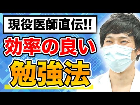 医学科 医学生道場の現役医師講師にインタビューを行いました。