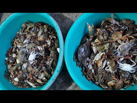 EP668-P2 - Pagpandaw ng Baklad at Bokatot | Occ. Mindoro