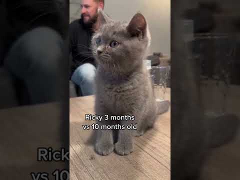 3 months vs 10 months growth🐈‍⬛🤩