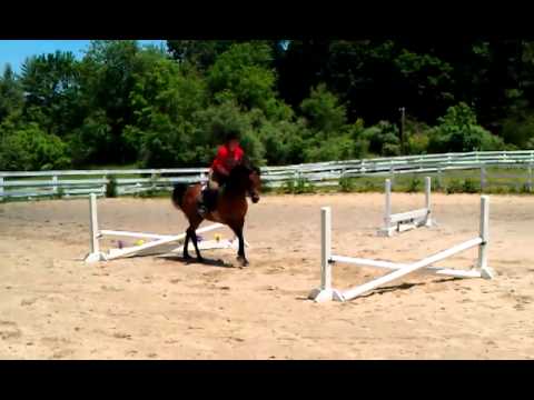 Drisana riding Ziggy.