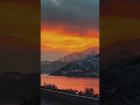 zohid ft jony не для меня #shorts