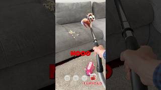 Download lagu Scrappy Leaves a Popcorn Mess #squirrel #comedy mp3 Download lagu Scrappy Leaves a Popcorn Mess #squirrel #comedy mp3