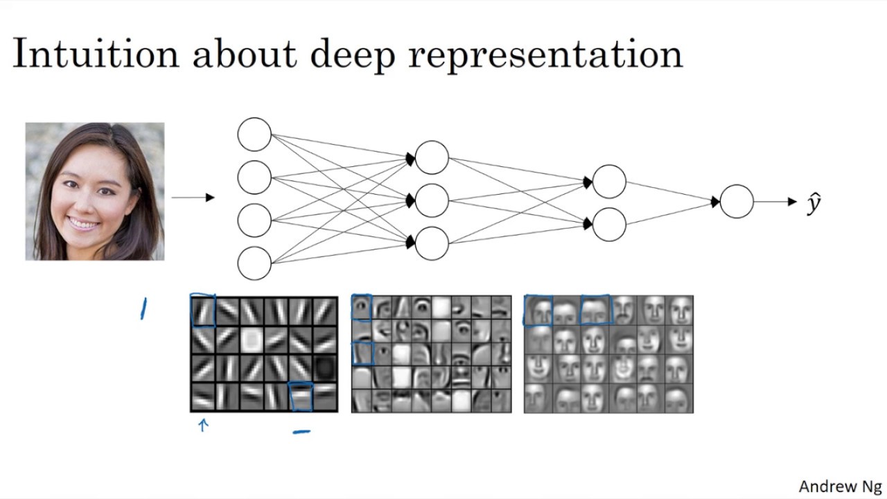 Why Deep Representations? (C1W4L04)