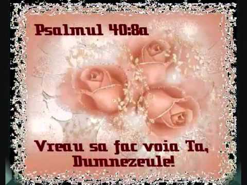 70 de ori    Grupul Eliezer