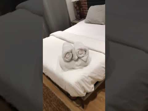 video 1