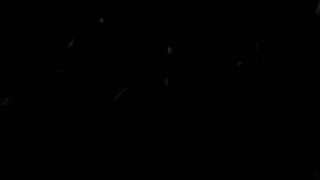 I never said that I was brave, by Aaron Weiss