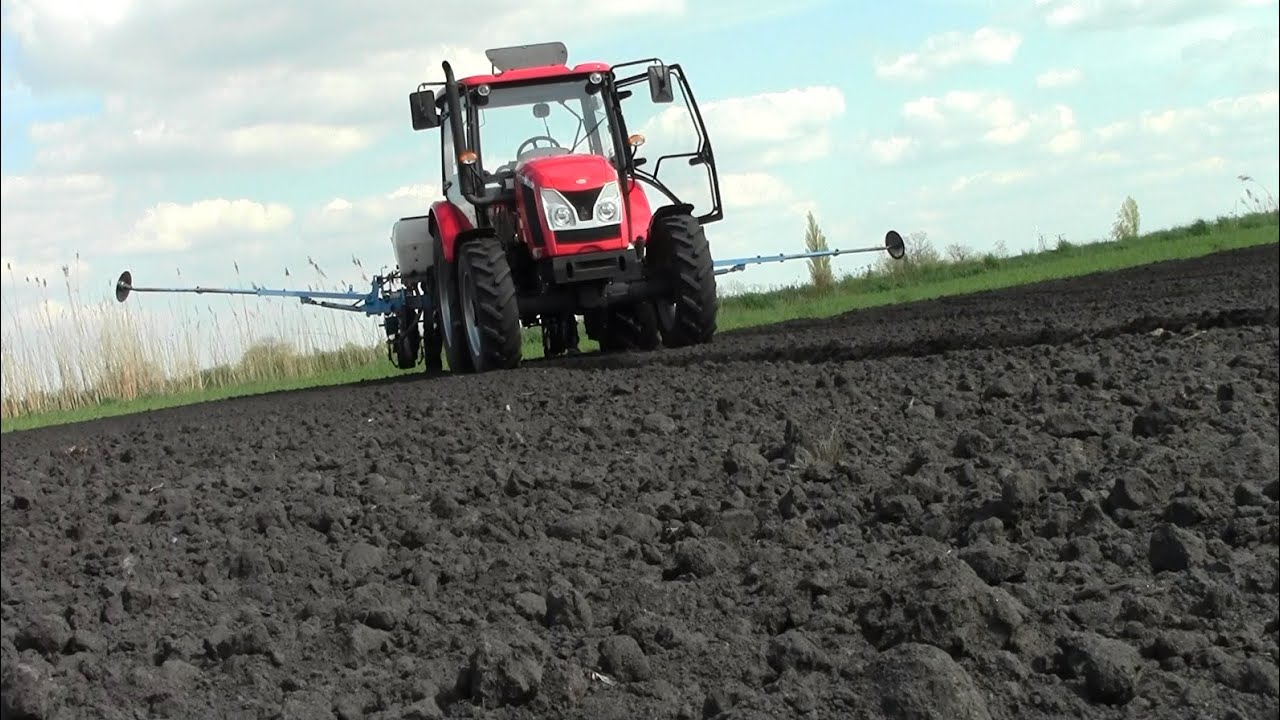 Siew Kukurydzy 2015  Zetor Major 80 Fer-Zet Farms