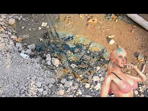 Effects of potentially toxic elements on soil enzyme activities