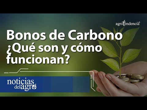 Bonos de Carbono 🌳💰 ¿Qué son y cómo funcionan?