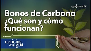 Bonos de Carbono 🌳💰 Qu son y cmo funcionan?