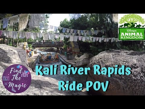 Kali River Rapids POV | Epic Water Ride | Disney's Animal Kingdom