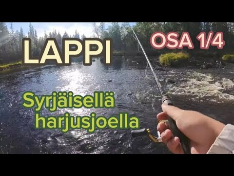 LAPISSA vihdoin! Elämäni ensimmäiset harjukset (Lapin reissun osa 1/4)