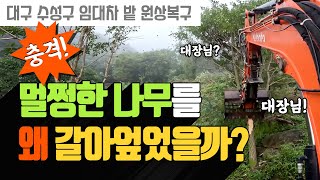 충격 현장: 굴삭기로 파괴된 나무의 슬픈 내막