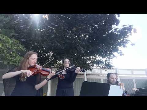 Promotional video thumbnail 2 for Music Mia Bella
