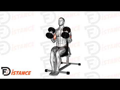 Curl marteau assis avec haltères - Exercice Curl marteau assis avec haltères en vidéo