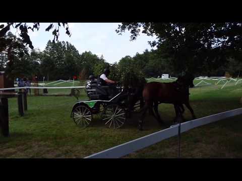 Fahrturnier Neu Versen 23.6.2019