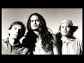 Meat Puppets - 02 Never to be Found - Live at the Roxy 1994