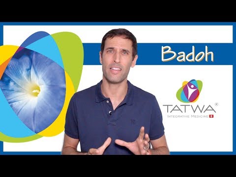 Videos from Tatwa Sàrl