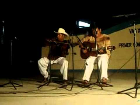 Froylan Barrios--Fandango Jicayanero(viko ñuu chikua'a).avi