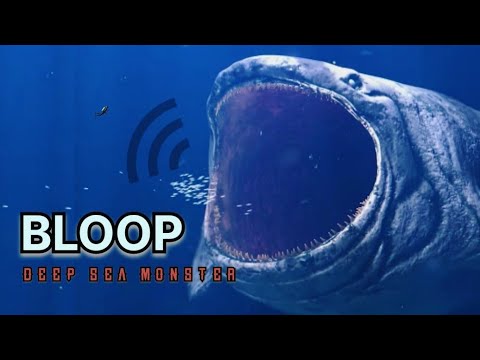 The BLOOP Sound 😱🔊💀💯 | A Mysterious Sound Ever Recorded In The Deep Ocean #deepseacreatures
