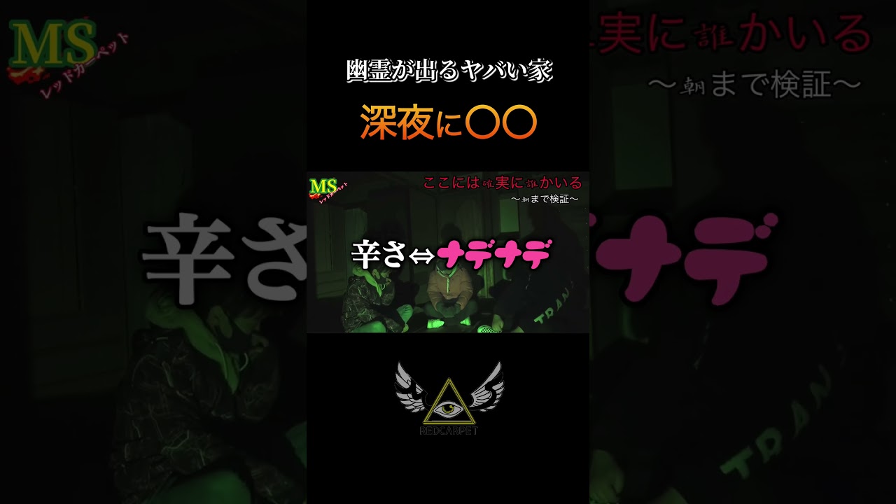 心霊スポットでする会話じゃない！ #怪現象 #ghost #廃墟 #恐怖