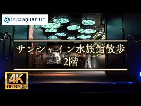 【4K】サンシャイン水族館 2階 Sunshine Aquarium Second Floor  Tokyo Japan